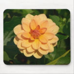 Dahlia 'David Howard' mousepads