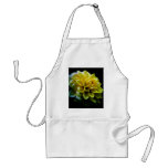 Dahlia flower and meaning aprons