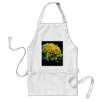 Dahlia flower and meaning aprons