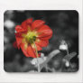 Dahlia from behind Mousepad