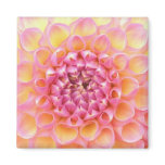 Dahlia Magnet