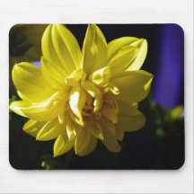 Dahlia Mouse Mats