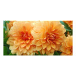 Dahlia Photo Card