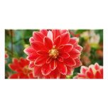 Dahlia Photo Card