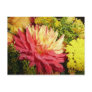 Dahlia Post Cards