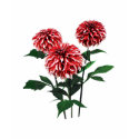 Dahlia Santa Claus t-shirts
