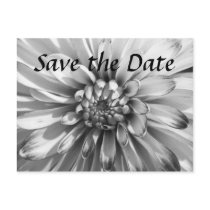 dahlia Save the Date Postcards