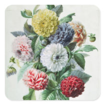 Dahlia Square Stickers