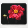 Dahlia w/Bud ~ mousepad