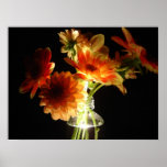 Dahlias at Midnight posters