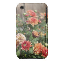 Dahlias Floral Photograph iphone Case iPhone 3 Cases