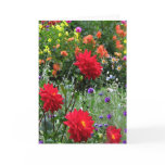 Dahlias for Mother's Day cards