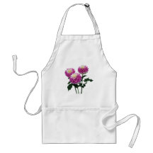 Dahlias Gitts Perfection Aprons