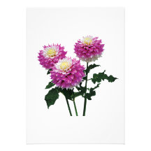 Dahlias Gitts Perfection Personalized Invite