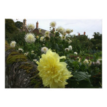 Dahlias in cottage garden custom invitation