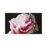 Dainty Pink Carnation Flower Floral Business