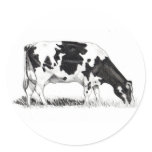 DAIRY COW, PENCIL ART stickers