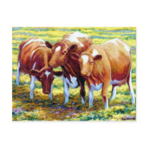 Dairy Cows Postcards