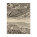 Dairy farms of RS Houston and WC White postcards