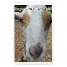 Dairy Goat Awareness Magnet