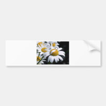 Daisey  2 bumper stickers