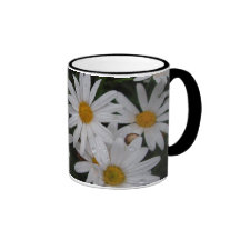 Daisies After Rain/ Mug