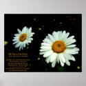 Daisies and poem posters