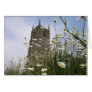 Daisies at the church greeting cards