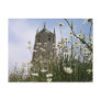 Daisies at the church postcard