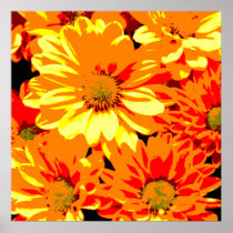 Daisies Canvas