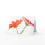Daisies cards