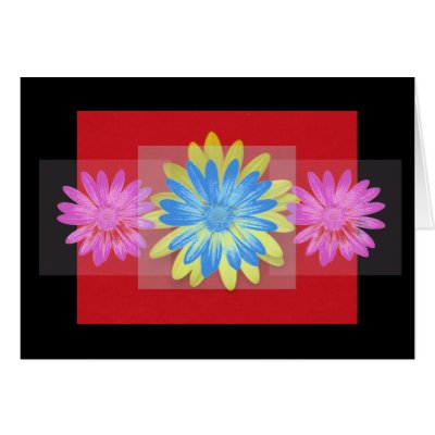 Daisies Card by ggbythebay