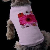 Daisies Daisies pet clothing