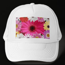 Daisies Daisies hats