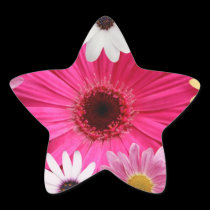 Daisies Daisies stickers