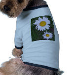 Daisies pet clothing