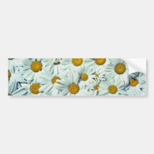 Daisies  flowers bumper stickers