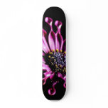 Daisies Flowers skateboards
