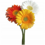 Daisies gerbera bunch photo sculptures