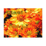 Daisies Hello Postcard