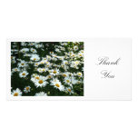 Daisies II - Thank You Customized Photo Card