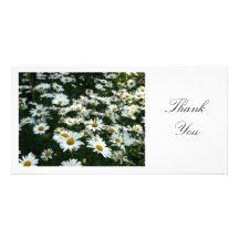Daisies II - Thank You Customized Photo Card