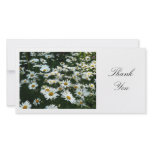 Daisies II - Thank You Personalized Photo Card