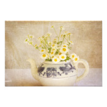 Daisies in a Teapot Photo Art