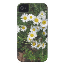 Daisies iPhone 4 Case