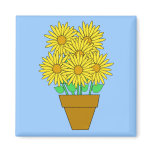 Daisies magnets