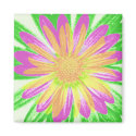 Daisies Magnet