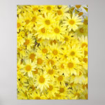 Daisies Make Me Happy Posters and Prints