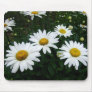 Daisies mouse pad