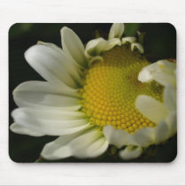 Daisies Mouse Pads